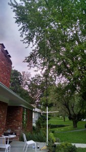 IMG_20150831_195511386_HDR