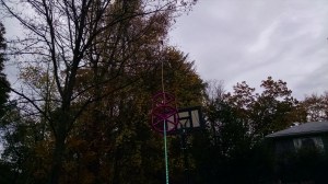 IMG_20151031_165712056